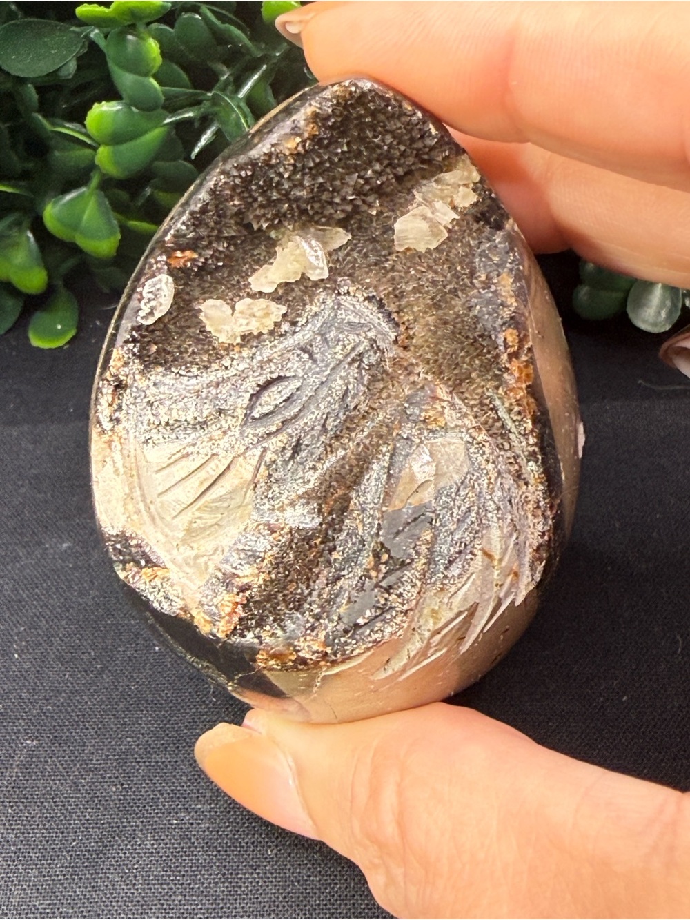 Carved Winged Dragon Septarian Egg - UV Reactive